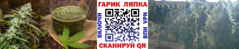 Купить  Короча  Canna-Cookies марихуана 