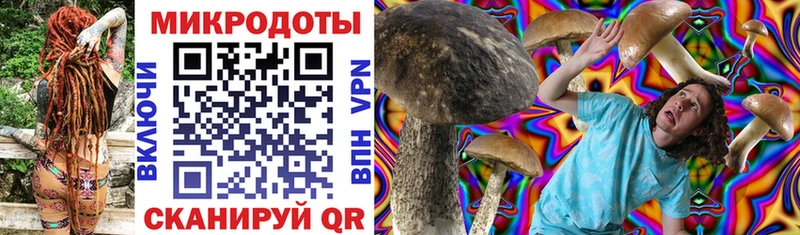 Купить  Короча  Галлюциногенные грибы MAGIC MUSHROOMS 